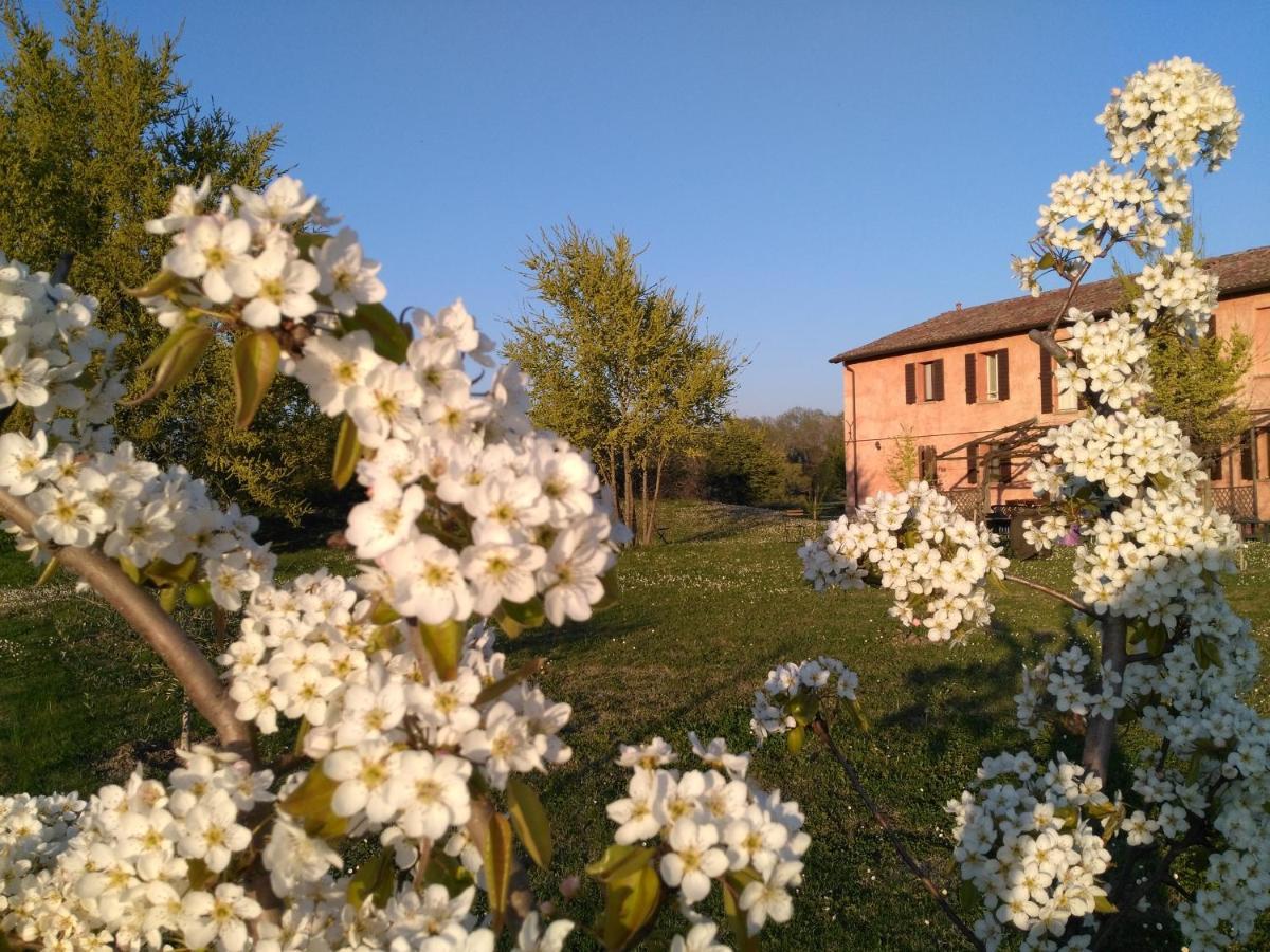 Agriturismo La Lenticchia Fratta Terme Exteriér fotografie