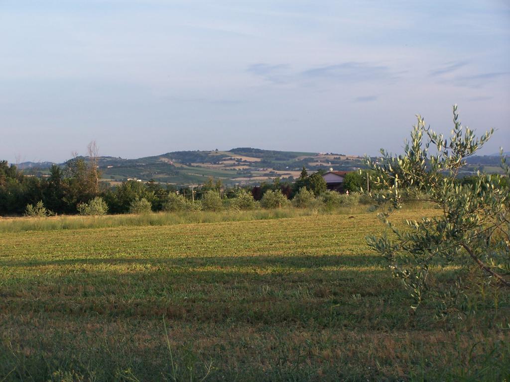 Agriturismo La Lenticchia Fratta Terme Exteriér fotografie