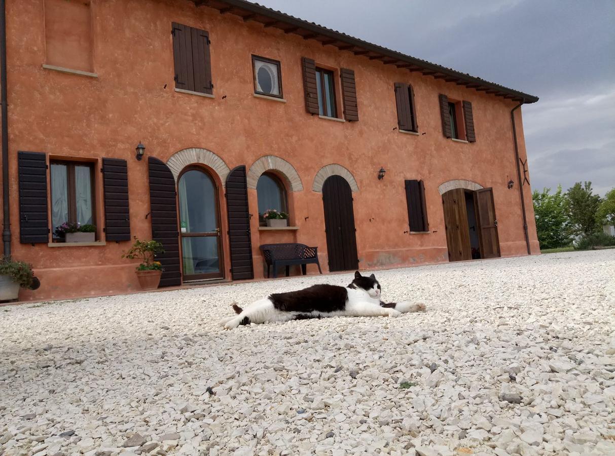 Agriturismo La Lenticchia Fratta Terme Exteriér fotografie